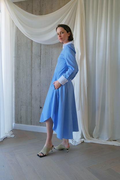 The Amplitude Shirt Dress in Blue Striped Cotton